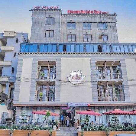 Roseau Hotel And Spa ゴンダール エクステリア 写真